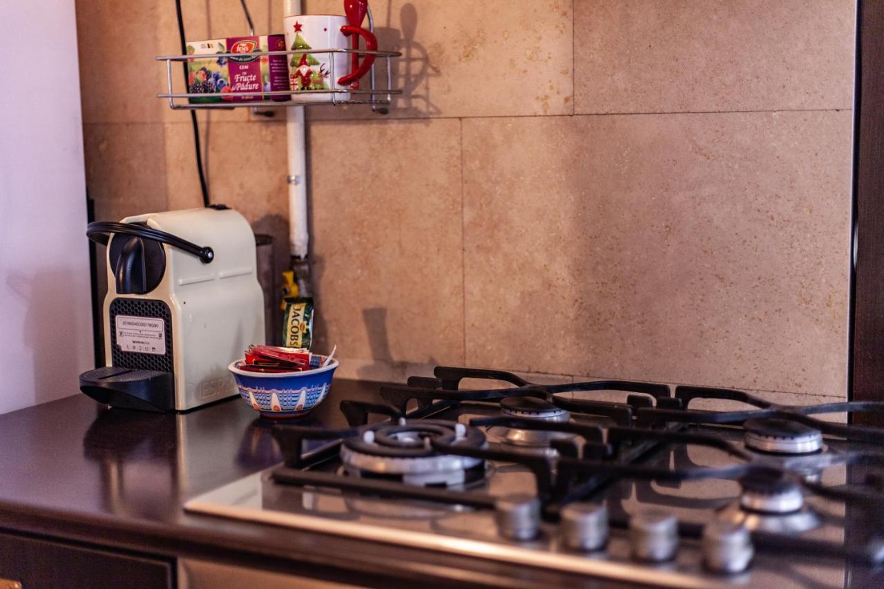 Spacious Apartment In City Centre Iasi Esterno foto